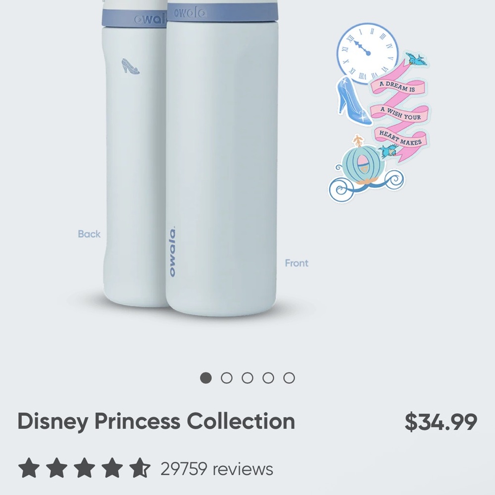 Cinderella 24 oz Owala